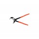 Cleste papagal 250mm