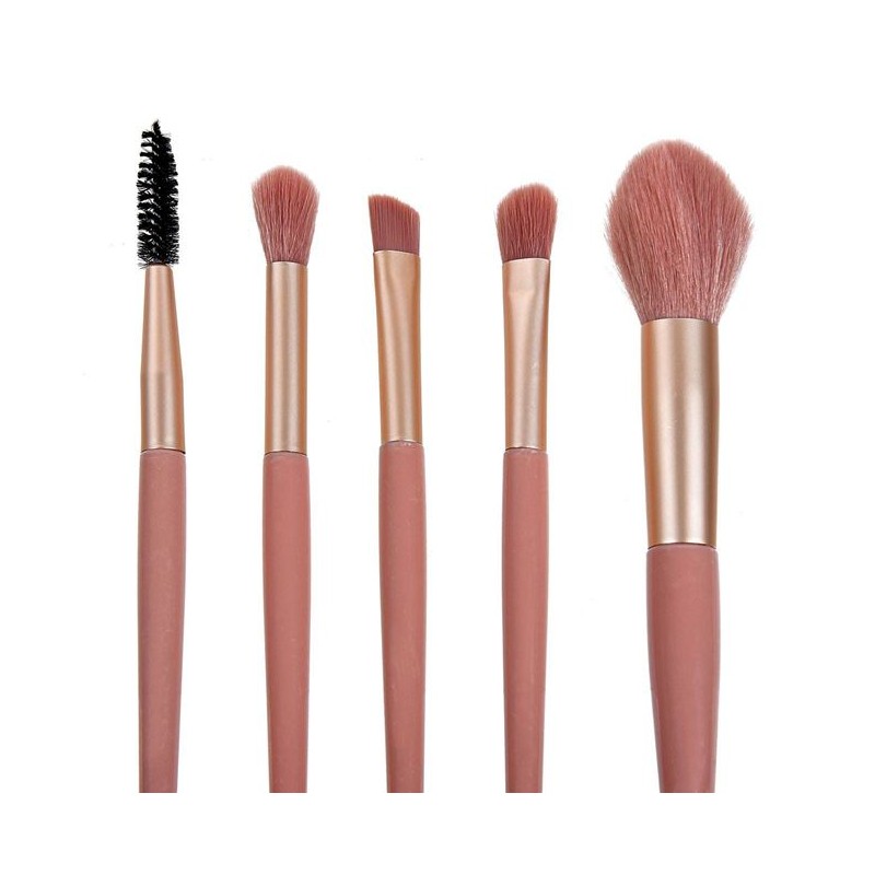 Set 5 pensule machiaj roz aurii cu husa Set 5 pensule machiaj roz aurii cu husa