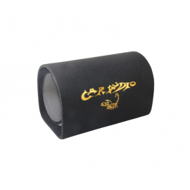 Subwoofer cu amplificator inclus 120W