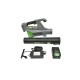 Suflanta aer de gradina 650W cu acumulator 40V/2Ah viteza 175 km/h 21000 RPM