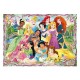Puzzle cu printese - 300 de piese