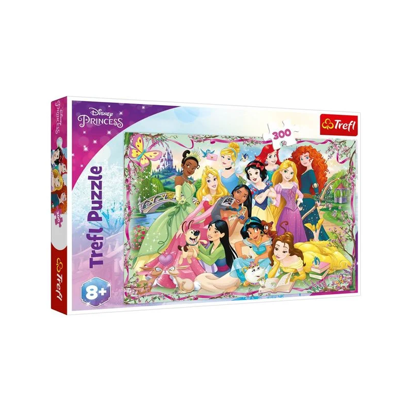 Puzzle cu printese - 300 de piese
