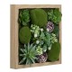 Tablou din lemn cu plante si muschi 3D 30x30x10cm