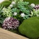 Tablou din lemn cu plante si muschi 3D 30x30x10cm