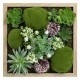 Tablou din lemn cu plante si muschi 3D 30x30x10cm