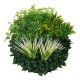 Tablou cu verdeata 3D si plante 55cm