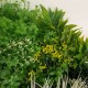 Tablou cu verdeata 3D si plante 55cm