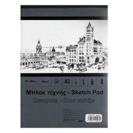 Bloc de schite 29.7x42cm