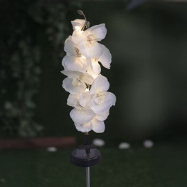 Florea solara stick orhidee