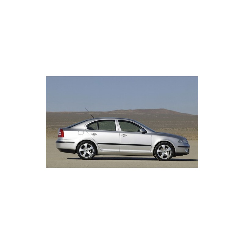 Perdele interior Skoda Octavia 2 hatchback/sedan 2004-2013 Perdele interior Skoda Octavia 2 hatchback/sedan 2004-2013
