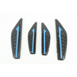 Protectie usa auto IPOP-05 ALBASTRU