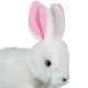 Iepuras interactiv alb cu urechi roz