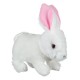 Iepuras interactiv alb cu urechi roz