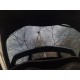 Perdele-interior-Toyota-C-HR-2018-SUV