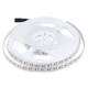 Bandă LED SMD3014 204 LED Alb rece IP65