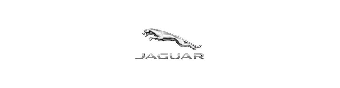Paravanturi Jaguar